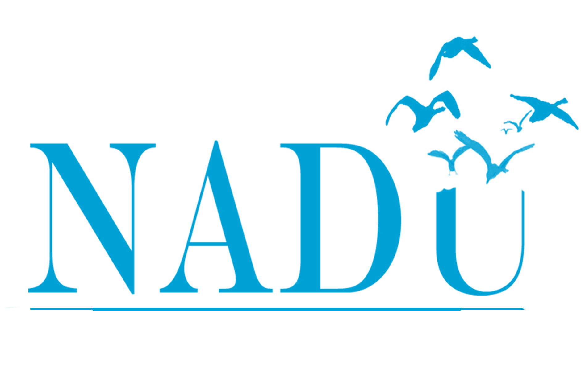 n-logo